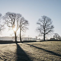 Buy canvas prints of Sunrise behind trees on a frosty morning. Derbyshi by Liam Grant
