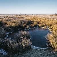 Buy canvas prints of Frozen water and reeds lit by the sunrise. Beeley  by Liam Grant