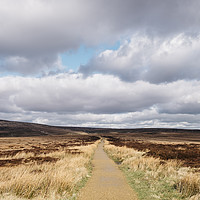Buy canvas prints of Footpath through moorland on Bleaklow, Derbyshire, by Liam Grant