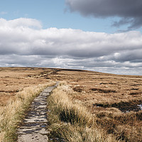 Buy canvas prints of Footpath through moorland on Bleaklow, Derbyshire, by Liam Grant