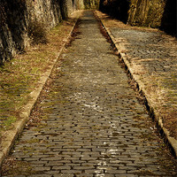 Buy canvas prints of Cobbles by Anth Short