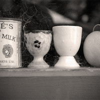 Buy canvas prints of Egg Cup by Anth Short