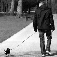 Buy canvas prints of WALKING THE DOG by Anthony R Dudley (LRPS)