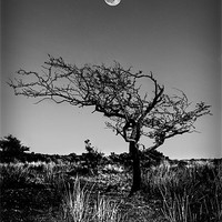 Buy canvas prints of FULL MOON OVER EXMOOR by Anthony R Dudley (LRPS)