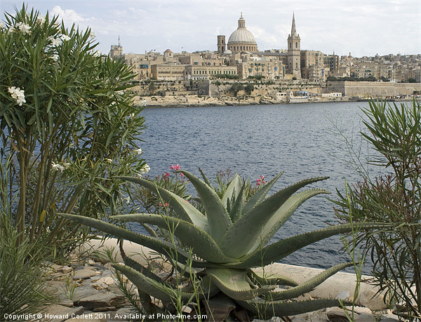 Valletta waterfront Picture Board by Howard Corlett
