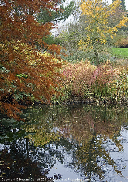 Hyde Hall Autumn Picture Board by Howard Corlett
