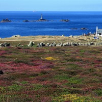 Buy canvas prints of Lands End by Howard Corlett