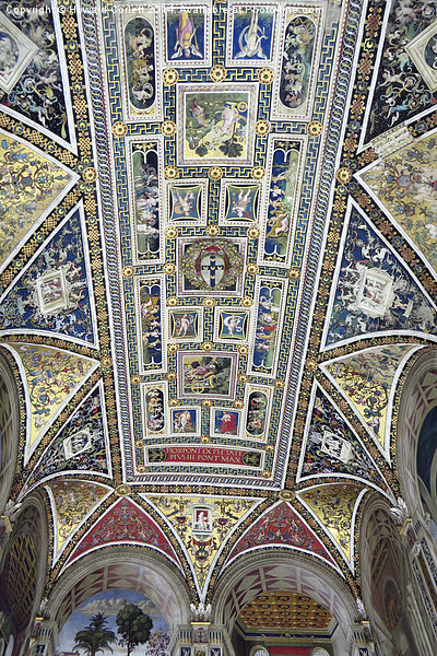 Piccolomini Library Ceiling  Picture Board by Howard Corlett
