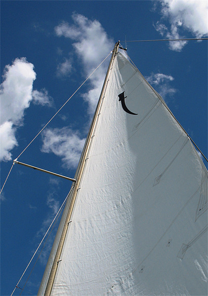 Sail Picture Board by Howard Corlett