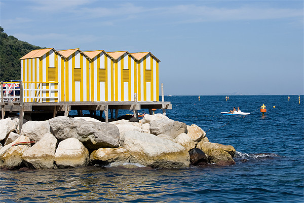 Beach huts at Sorrento Picture Board by Howard Corlett
