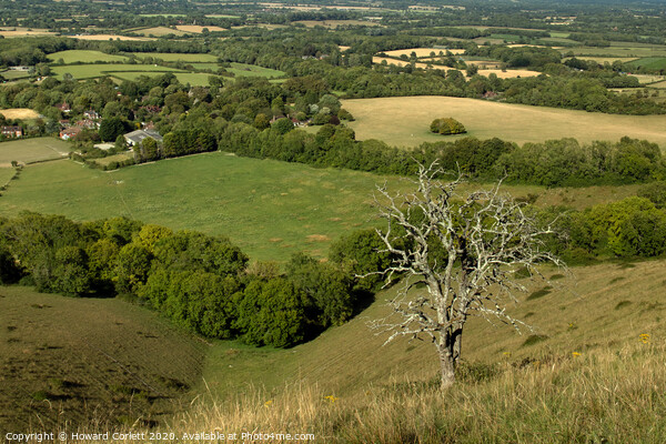 South Downs Panorama Picture Board by Howard Corlett