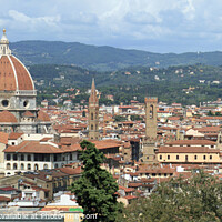 Buy canvas prints of Florence panorama by Howard Corlett