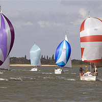 Buy canvas prints of Spinnakers galore! by Howard Corlett