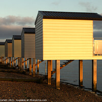 Buy canvas prints of Osea Beach Huts towards dusk by Howard Corlett