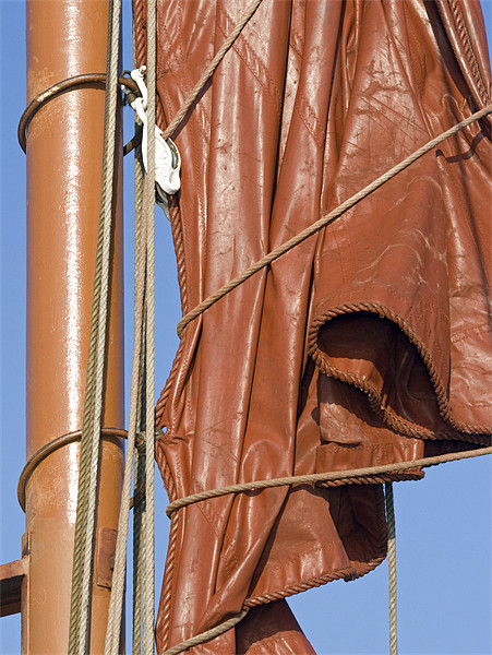 Thames barge sail Picture Board by Howard Corlett