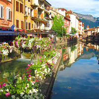 Buy canvas prints of Annecy Flowers by Gary Miles