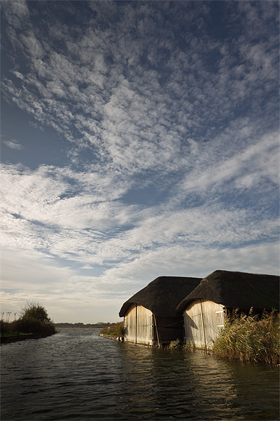 Windward - Norfolk Skies Picture Board by Simon Wrigglesworth