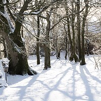 Buy canvas prints of Winter Shadows by Simon Wrigglesworth