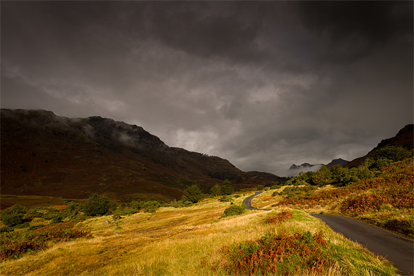 Little Langdale Road Picture Board by Simon Wrigglesworth