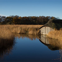 Buy canvas prints of Hickling Boat Shed by Simon Wrigglesworth