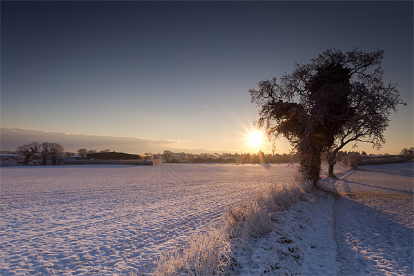 A Winters day Picture Board by Simon Wrigglesworth