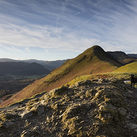 Buy canvas prints of Cat Bells by Simon Wrigglesworth