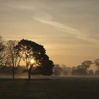 Buy canvas prints of Norfolk Sunrise by Simon Wrigglesworth