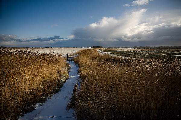 Norfolk Skies Picture Board by Simon Wrigglesworth