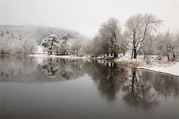 The Edge of Winter Picture Board by Simon Wrigglesworth