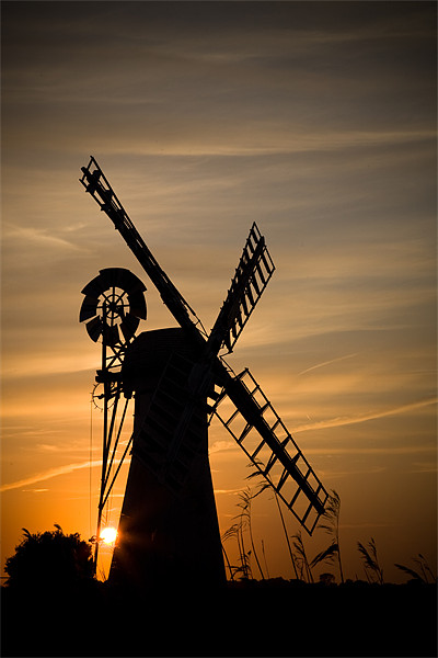 Summer Evening at thurne windmill Picture Board by Simon Wrigglesworth