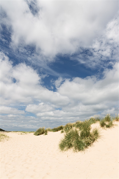 Dunes Picture Board by Simon Wrigglesworth