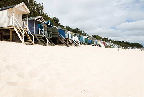 Beach Huts Picture Board by Simon Wrigglesworth