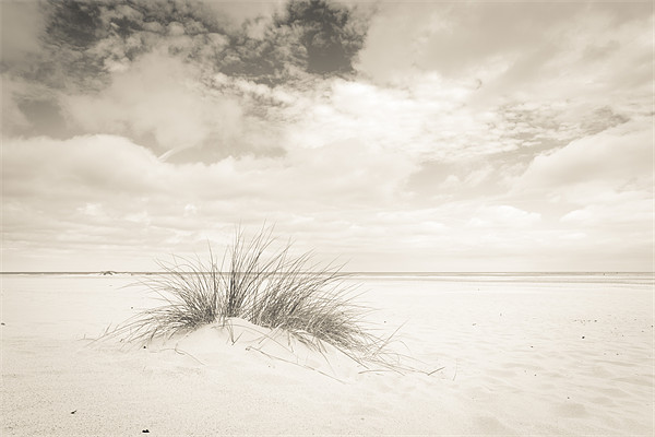 Lone Dune Picture Board by Simon Wrigglesworth