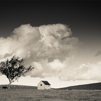 Buy canvas prints of Lowlands by Simon Wrigglesworth