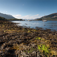 Buy canvas prints of Loch Leven by Simon Wrigglesworth