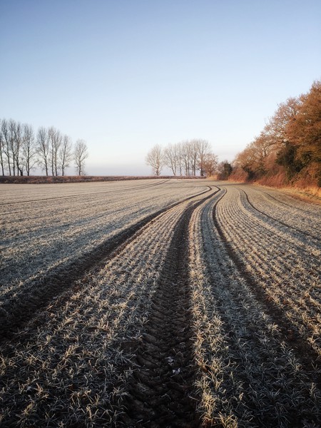 Frosty Fields Picture Board by Simon Wrigglesworth