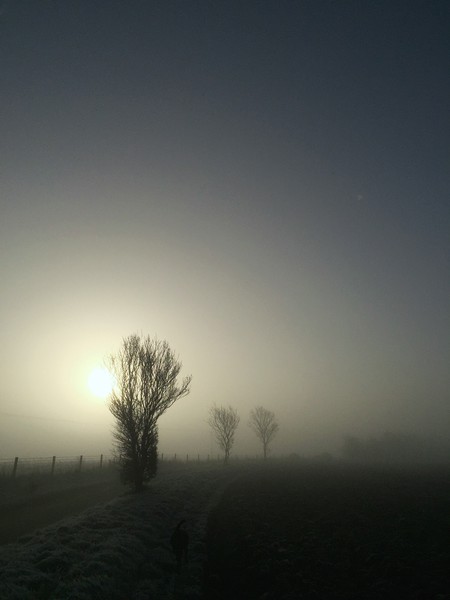 Foggy Winter Morning Picture Board by Simon Wrigglesworth