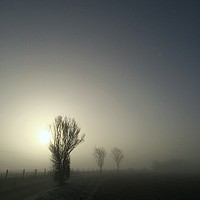 Buy canvas prints of Foggy Winter Morning by Simon Wrigglesworth