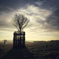 Buy canvas prints of Standing Alone by Simon Wrigglesworth