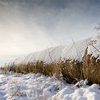 Buy canvas prints of Snow bales - Norfolk by Simon Wrigglesworth