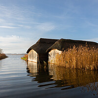 Buy canvas prints of Hickling Boatsheds by Simon Wrigglesworth