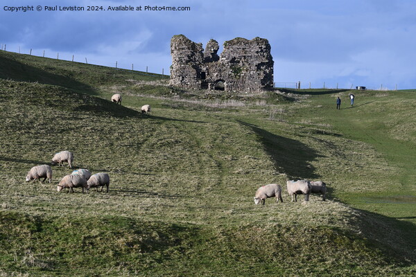 Lammer Castle with sheep  Picture Board by Paul Leviston