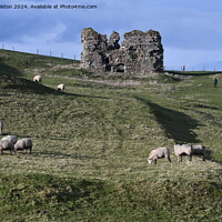 Buy canvas prints of Lammer Castle with sheep  by Paul Leviston