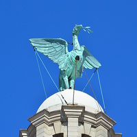 Buy canvas prints of  Liverpool Liver Bird  by Paul Leviston