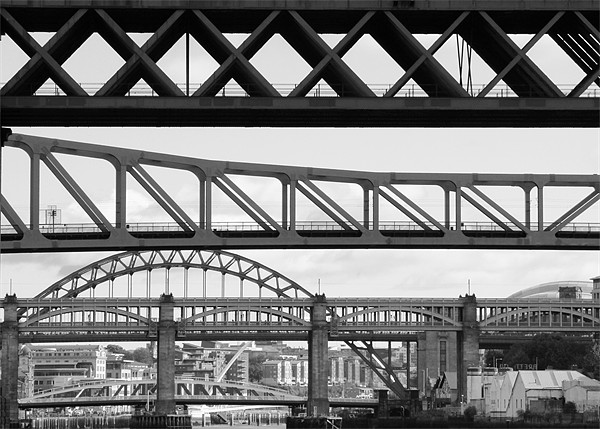 Bridges, Bridges. Picture Board by Will Black