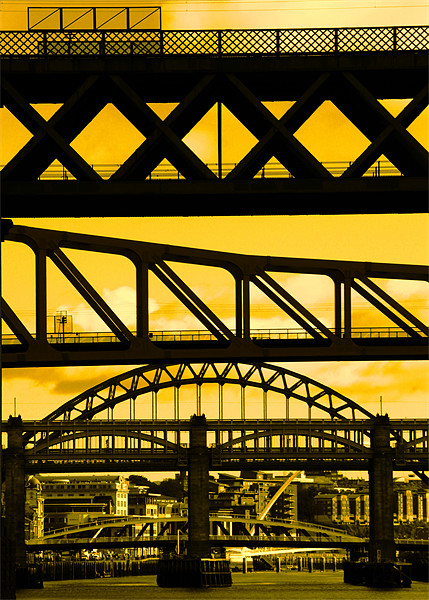 Newcastle bridges Picture Board by Will Black