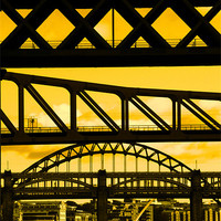 Buy canvas prints of Newcastle bridges by Will Black