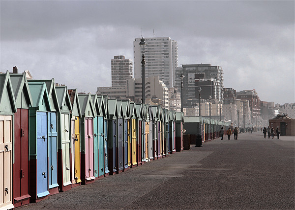 Beach huts. Brighton Picture Board by Will Black