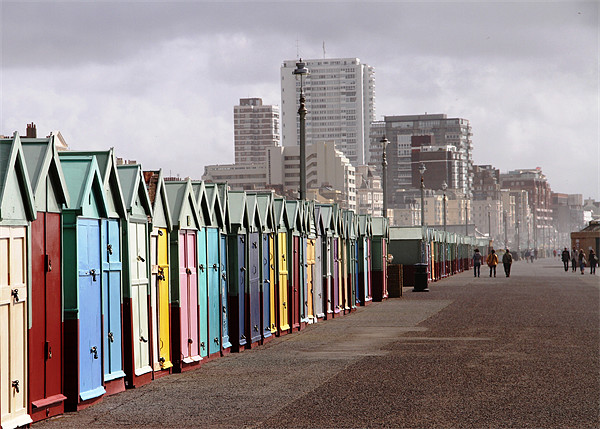 Brighton beach huts Picture Board by Will Black