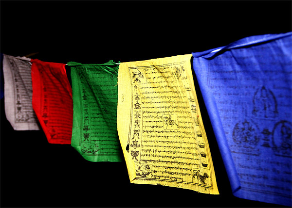 Tibetan Flag Picture Board by Will Black